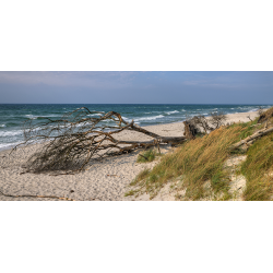 Naturstrand Prerow Panorama