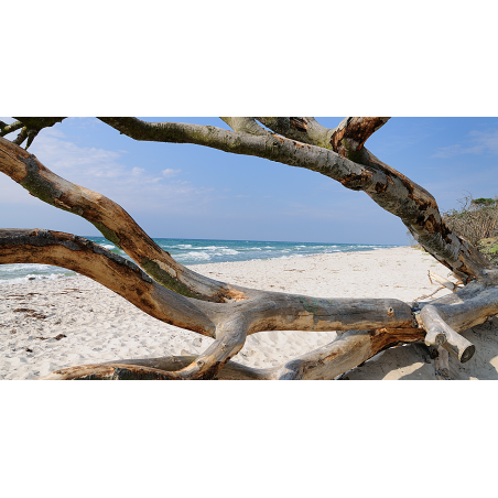 Naturstrand