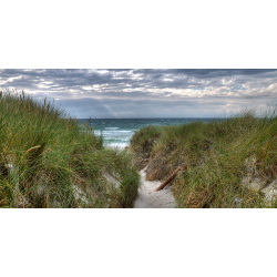 Dünenweg zum Strand