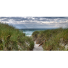 Dünenweg zum Strand
