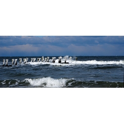 Eiswellen