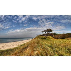 Windflüchter Panorama