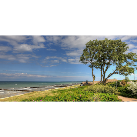 Ahrenshoop Ostsee