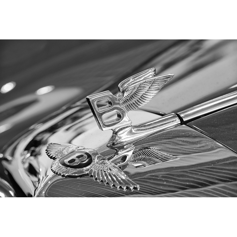 Bentley Logo S-W