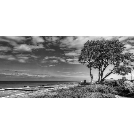 Ahrenshoop Ostsee-S-W