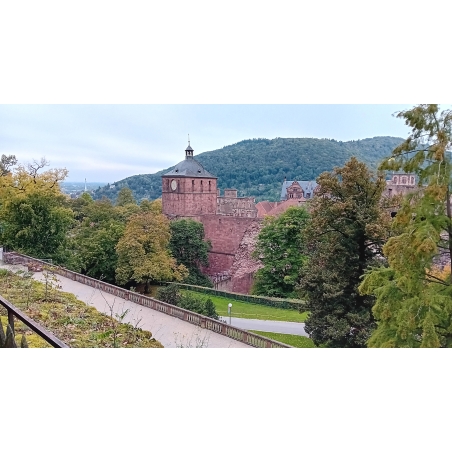 Schloss Heidelberg