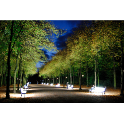 Hofgarten Düsseldorf