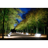 Hofgarten Düsseldorf