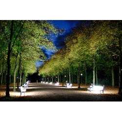 Hofgarten Düsseldorf